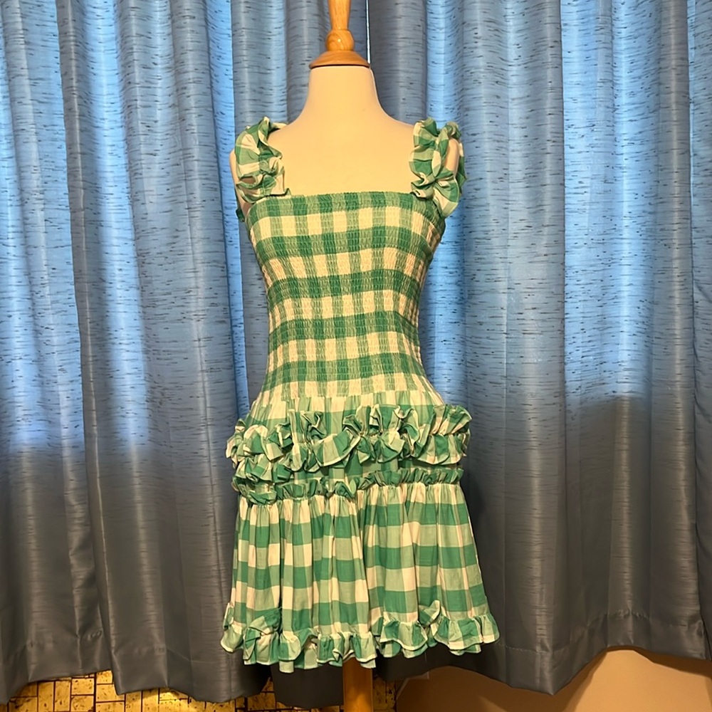 Sun dress! Quaint little gingham ruffled garden frock! Worn once